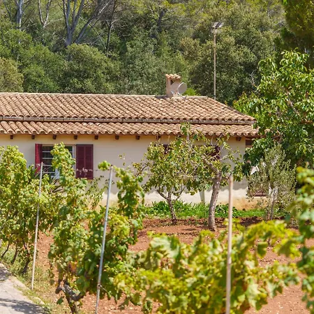 Nyaraló Ullastro By Interhome Pollença