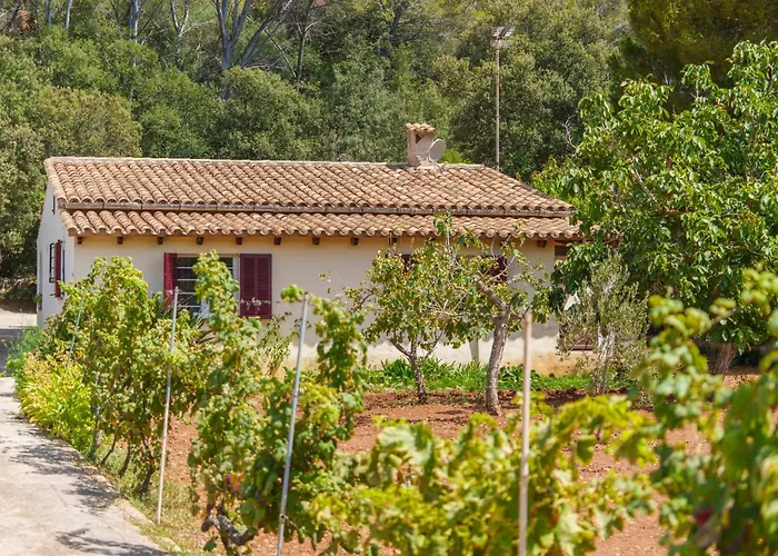 Nyaraló Ullastro By Interhome Pollença